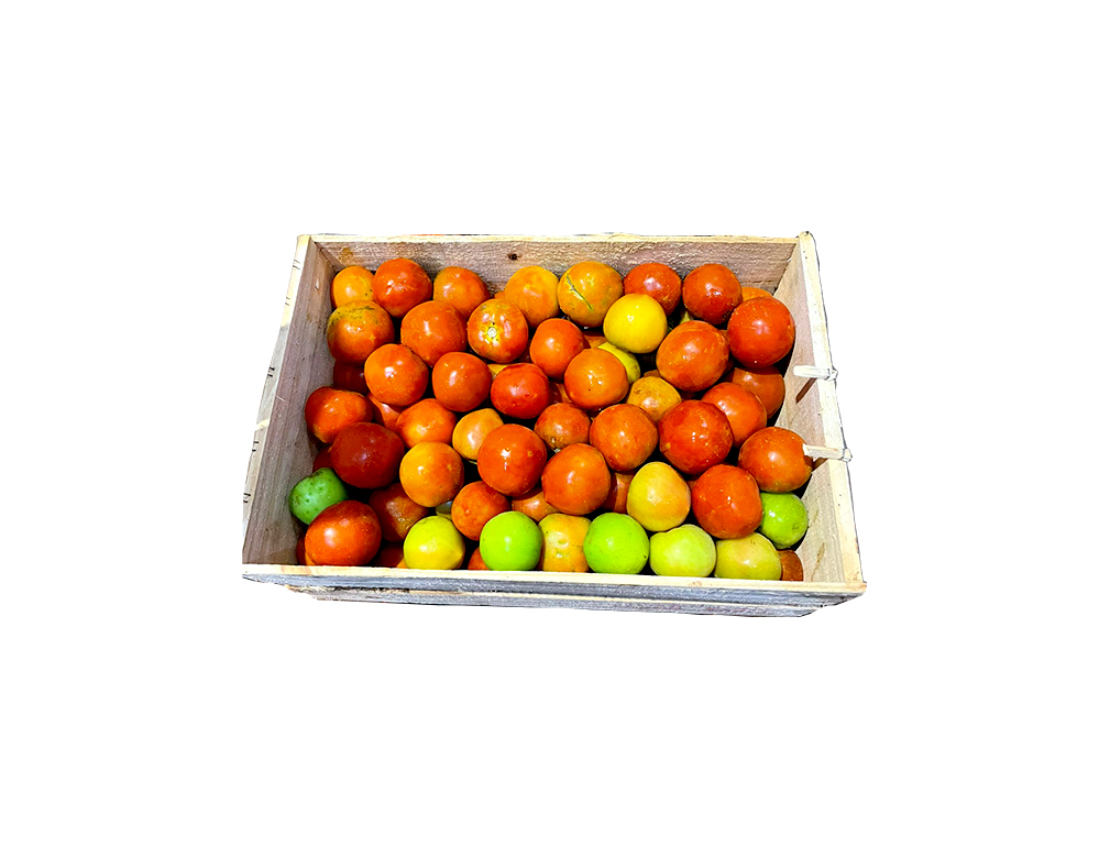 TOMATE ITALIANO SALADA (CX 17 KG)